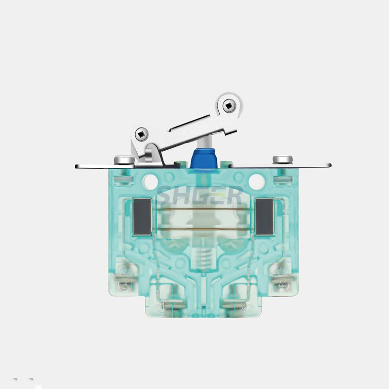 AYKW1(S847) Microswitches